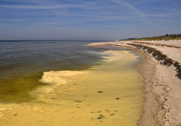 Желтое море Китай