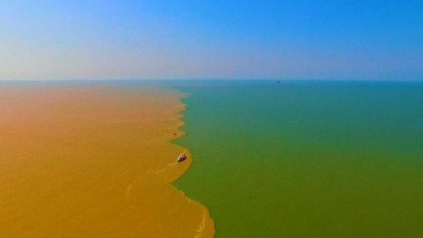 Хуанхэ впадает в желтое море
