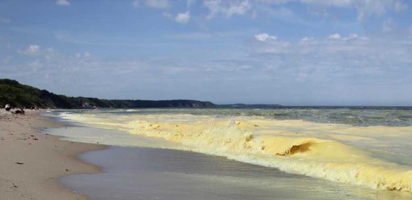 Балтийское море желтое