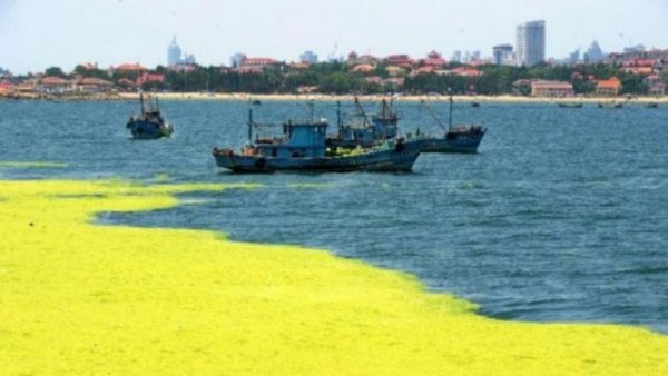 Желтое море Китай