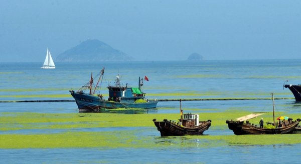 Порт в желтом море
