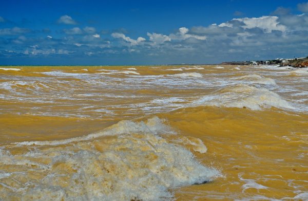 Желтое море Корея