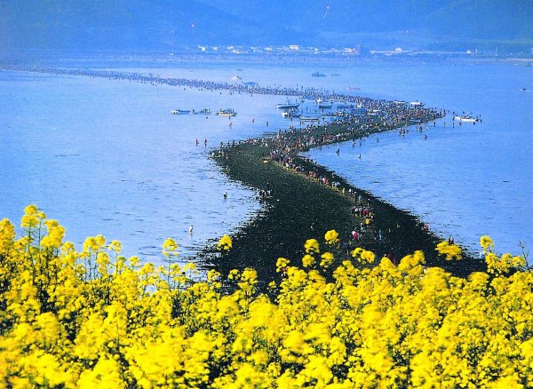 Переполненные пляжи Крыма 2020