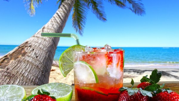 Море пальмы фрукты