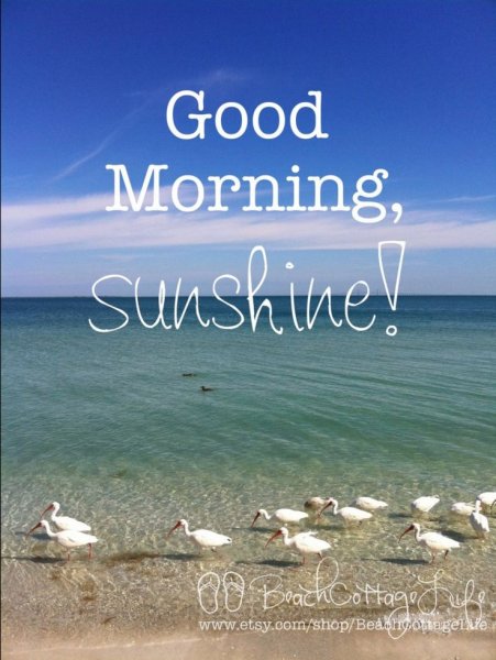 Good morning море