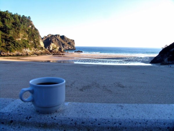 Пальмы good morning