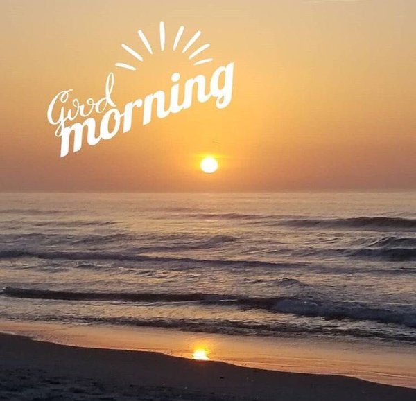 Море цветы рассвет