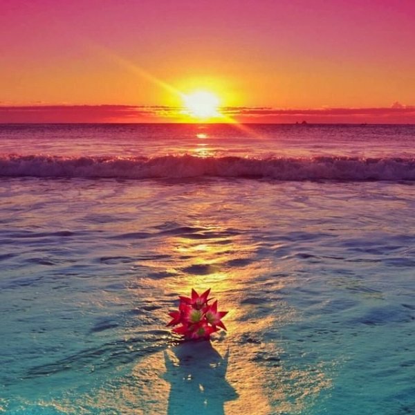 Good morning beautiful Lady