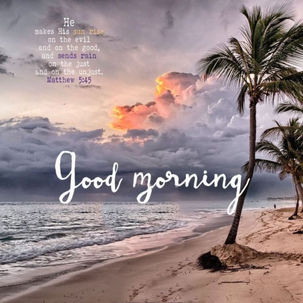 Цветы на фоне моря