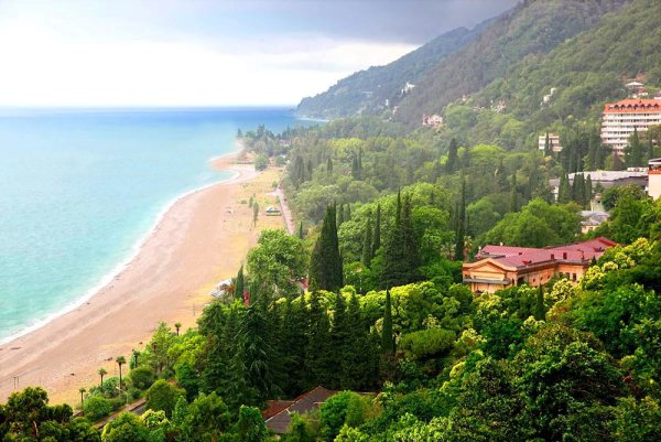 Леселидзе 2022