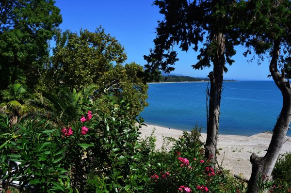 Абхазия Гагры море