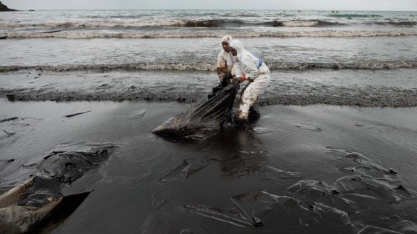 Нефть на пляже