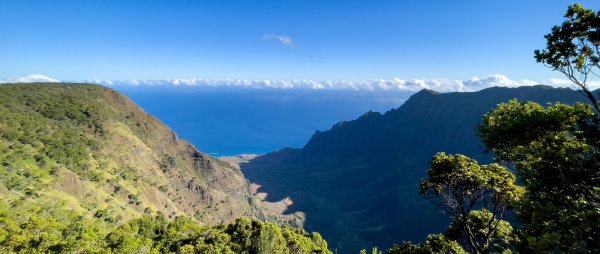 Jaeyoun Ryu фотограф