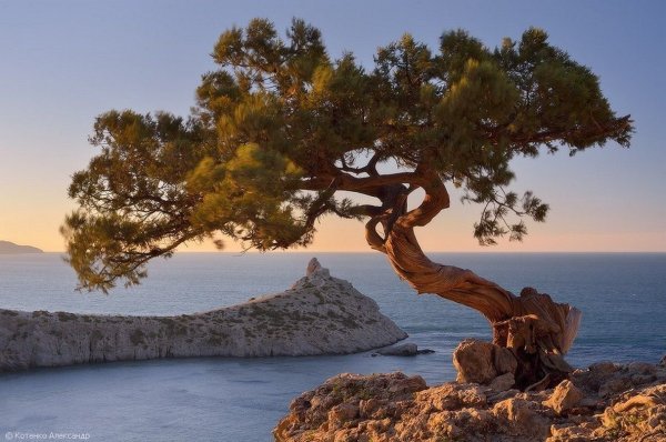 Природа Крыма новый свет