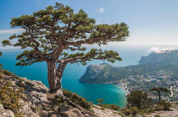 Байкальский хребет Высокогорная Тайга Байкал