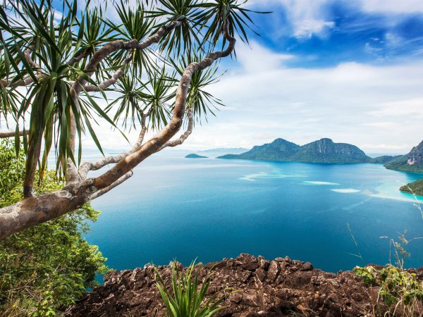 Море скалы сосны Лазурный берег Франции