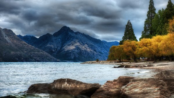 Сосновый лес в горах