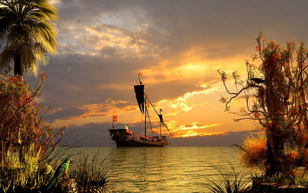Море пальмы лежаки