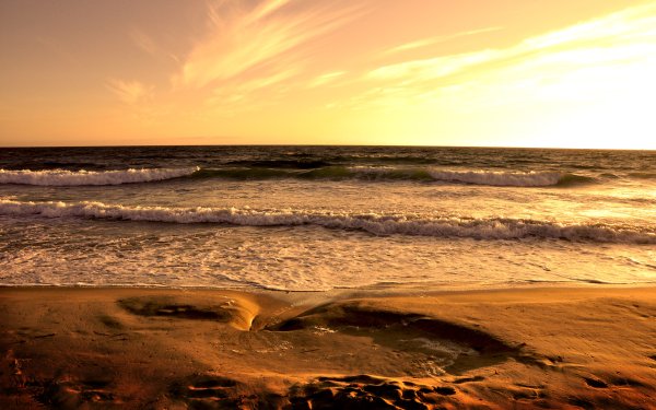 Фон море сепия