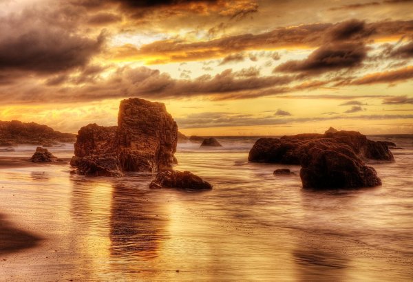 Пейзаж в коричневых тонах