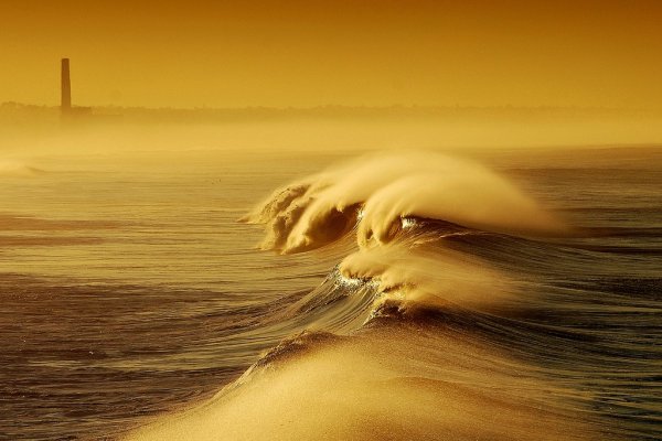 Море солнце пляж морская звезда