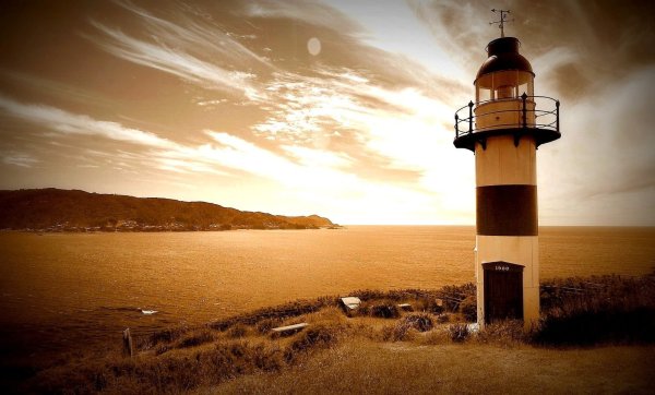 Головоногая каракатица