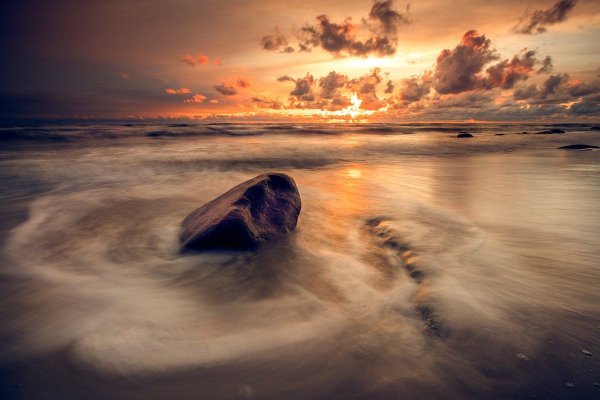 Сепия в море фото