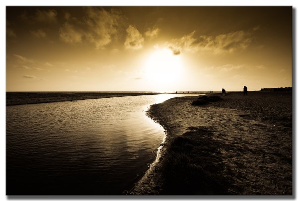 Ракушка маленькая бежевая