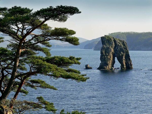 Полуостров Гамова Приморский край