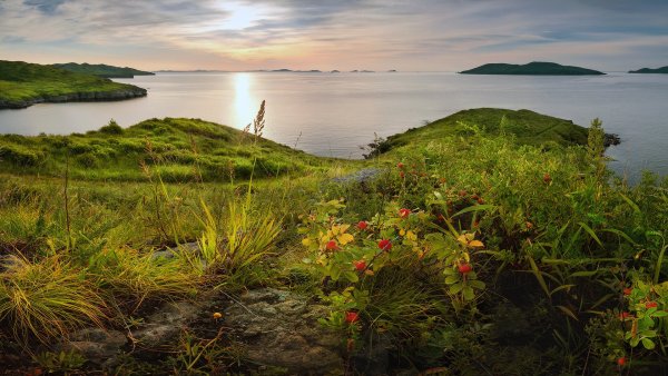 Владивосток природа сопки