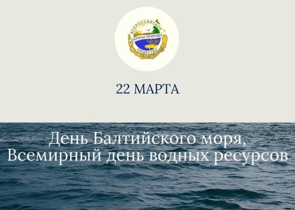 День Балтийского моря