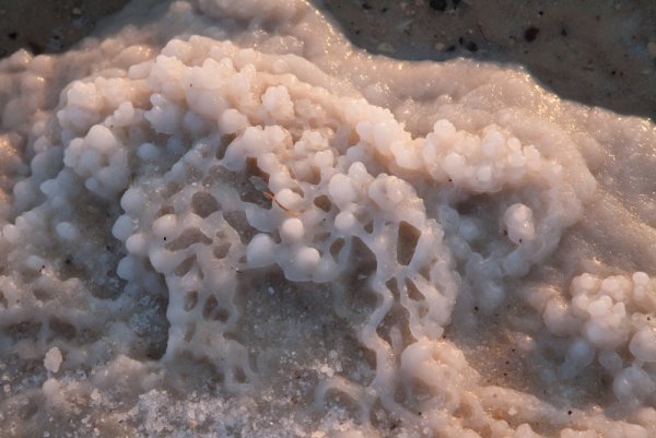 Дно мертвого моря