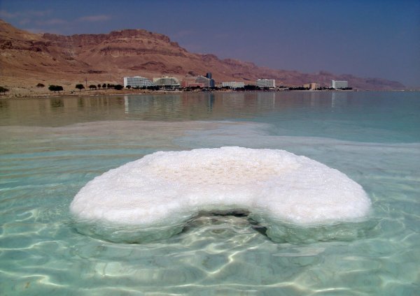 Рыба на берегу