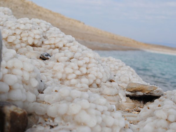 Аральское море мертвая рыба