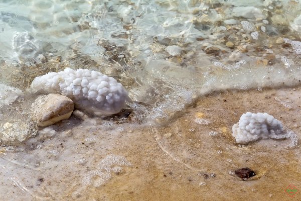 Солённость мёртвого моря