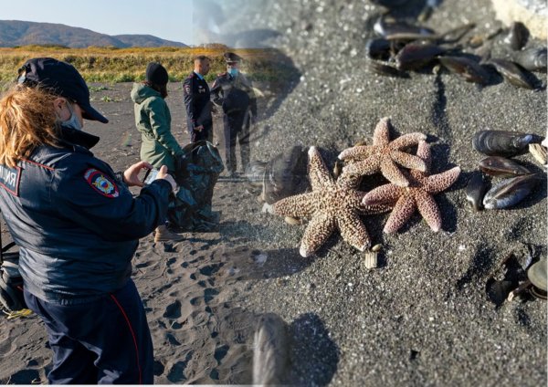 Мёртвое море Израиль рискнуи