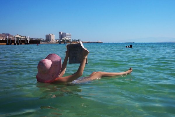 Морские обитатели мертвого моря