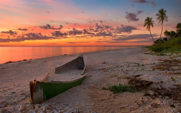 Чайки, корабль и море