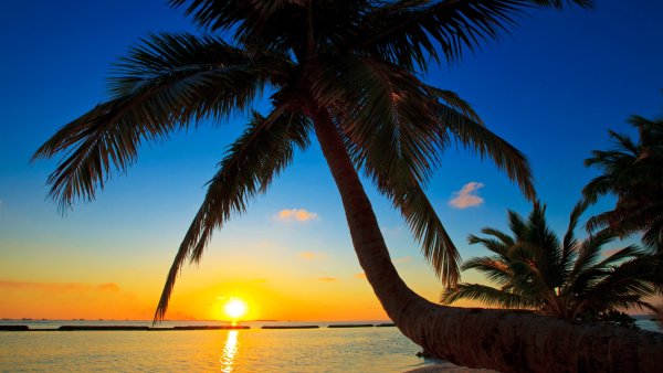 Штат Флорида природа