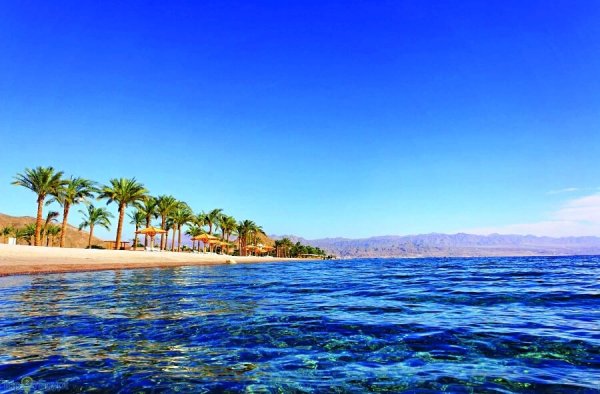 Берег красного моря в Египте