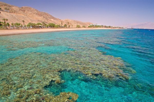 Красное море побережье Эйлата