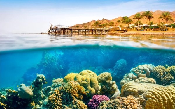 Красное море Египет Шарм-Эль-Шейх