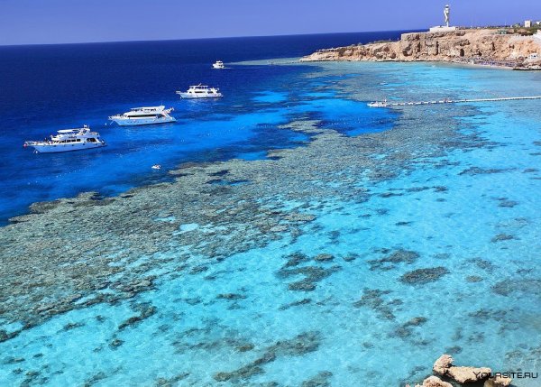 Красное море Египет Шарм-Эль-Шейх