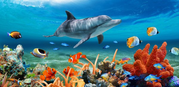 Кристиан Риес Лассен