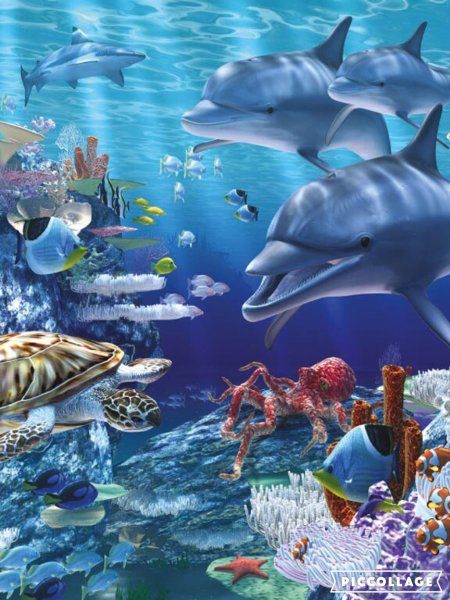 Морское дно с дельфинами