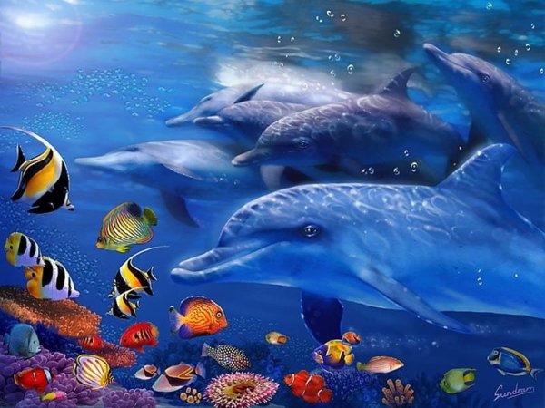 Подводный мир для дошкольников