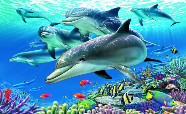 Адриан Честерман дельфины