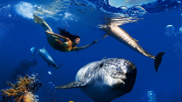 Christian Riese lassen касатки