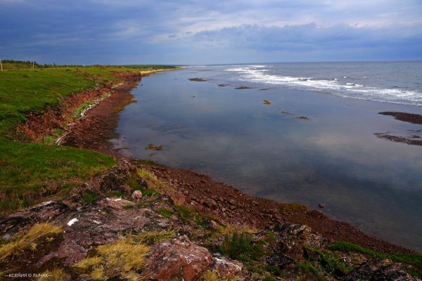 Южный берег белого моря