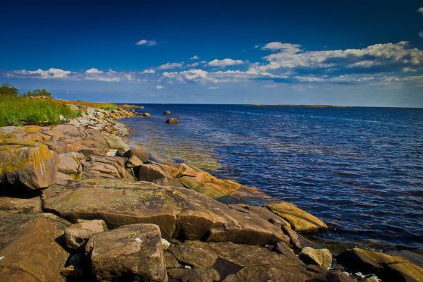 Берег белого моря Архангельская область